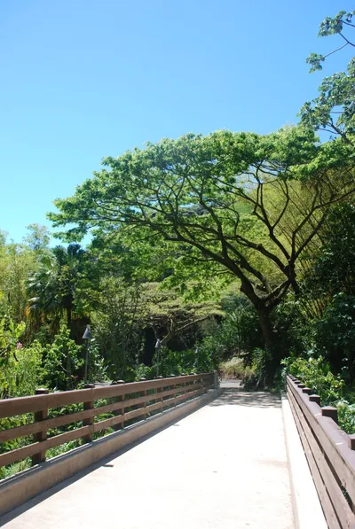 2007_05_30_HAWAII (95) (Large).JPG